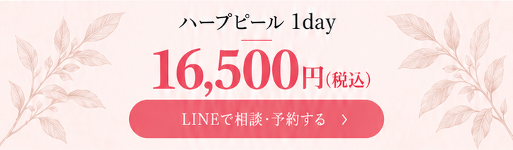 16,500円（税込）